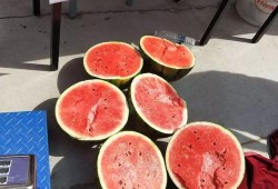 新瓜最新爆料广西,揭秘背后惊人真相！”